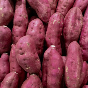 Red Kumara