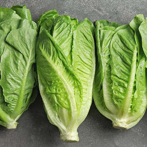 Products: Romaine Lettuce