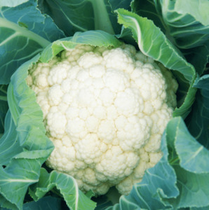 Add Ons: Cauliflower
