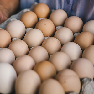 Free Range Eggs - 30 (Gisborne only)