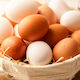 Free Range Eggs - 12