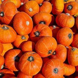 Sweet Surprise Pumpkin