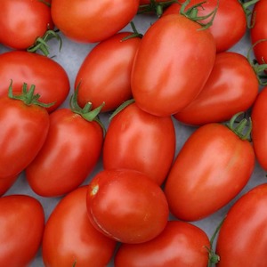Roma Tomatoes