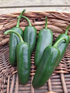 Goliath Jalapeño 100g