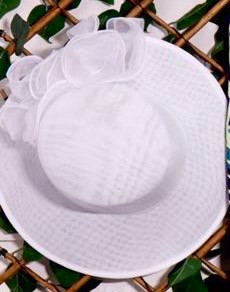 Pulou Lotu My Site 5