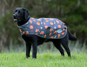 Pets: Weatherbeeta Comfitec Premier Free Parka Squirrel Dog Coat