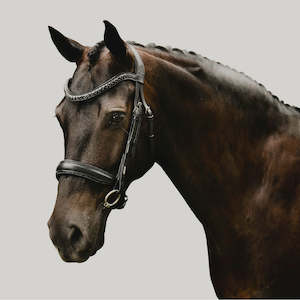 Bridles: Lumiere Arcadia Bridle