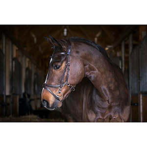 Bridles: PS Of Sweden Jump Off Bridle