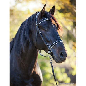 Bridles: LightRider Bitless Dressage Bridle