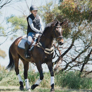 Breastplates Martingales: Lumiere Venus 5 Point Breastplate