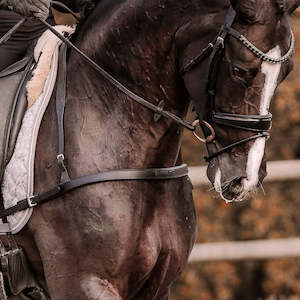 Breastplates Martingales: Alicia Dressage Breastplate