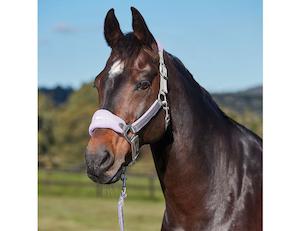 Halters Leads: Weatherbeeta Prime Plus Headcollar and Lead Set