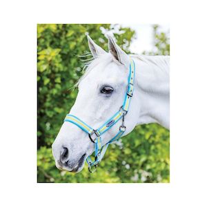 Weatherbeeta Coordinate Headcollar
