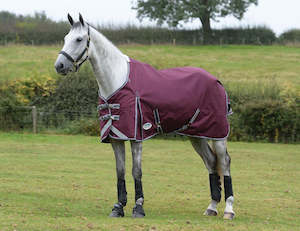 Rugs: Weatherbeeta Comfitec Plus Dynamic II Standard Neck Medium/Lite