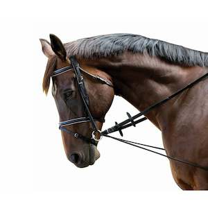 Lunging: Kincade Elastic Chambon Training Strap