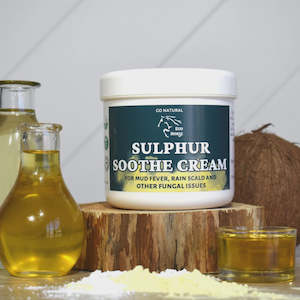 Shampoos Coat Health: Eco Horse Sulphur Soothe Cream