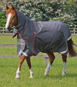 Rugs: Buster 150g Turnout Rug with Classic Neck Cover