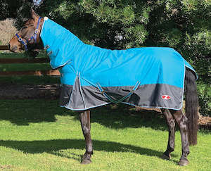 Rugs: Zilco Explorer 100 Combo