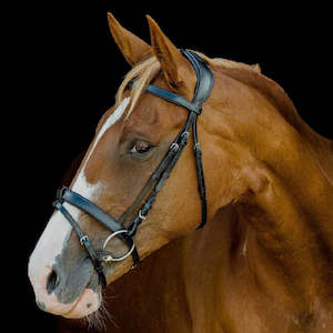 Bridles: Platinum Signature Classic Bridle