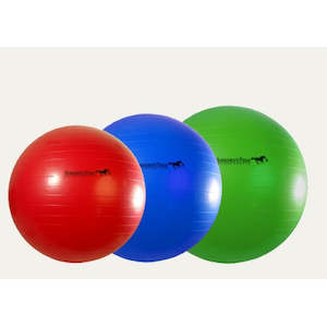Arena: Jolly Mega Ball Horse Exercise Toy