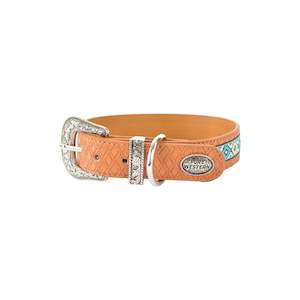 Pure Western Remy Dog Collar