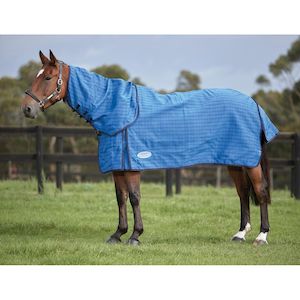 Winter Rugs: Weatherbeeta Lined Canvas Combo