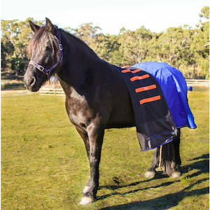 Winter Rugs: Cool Heat Horse Rug