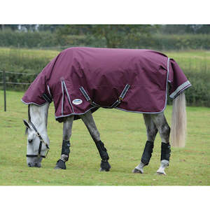 Equestrian Connection: Weatherbeeta Comfitec Plus Dynamic II Combo Medium/Lite