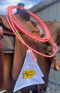 Lariats: Cactus Ropes Break-Away Flag