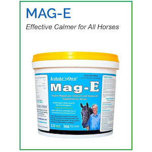 Staff Picks: Kohnkes Own Mag-E