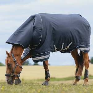 Rugs: LeMieux Arika Storm-Tek Detachable Neck 200g Turnout Rug - Navy