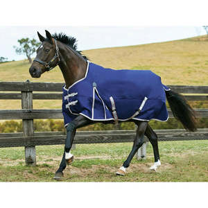 Weatherbeeta Turnout Rug: Weatherbeeta Comfitec Essential Standard Neck Lite Plus