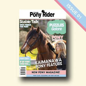 The Foundation Pony Rider Magazine