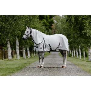 Cavallino Oxford Summer Combo