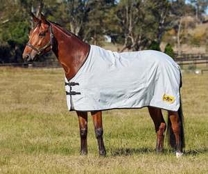 Rugs Accessories: Saxon Kool Coat Classic Lite Standard Neck Sheet