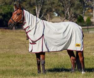 Rugs Accessories: Saxon Kool Coat Cotton Combo