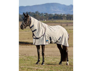 Weatherbeeta Cotton Summer Sheet Combo