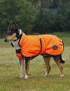 Pets: Weatherbeeta Comfitec Reflective 300D Deluxe Showerproof Dog Coat