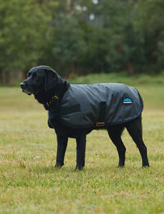 Pets: Weatherbeeta Comfitec Classic Waterproof Dog Coat