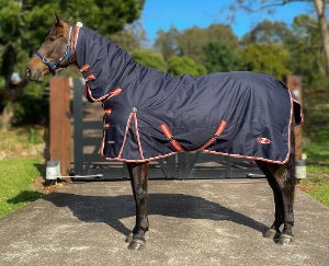 Rugs: Zilco Pioneer Combo 300gm