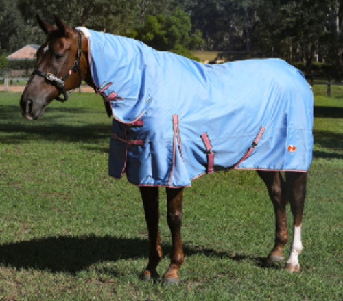 Rugs: Zilco Guardian No Fill Combo