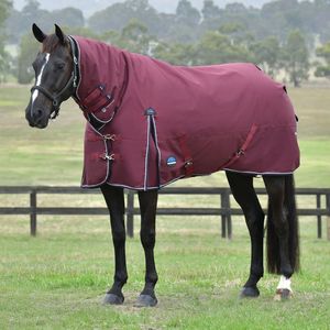Weatherbeeta Comfitec Essential Turnout Combo 220gm