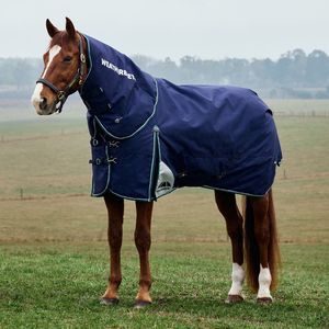 Weatherbeeta Comfitec Plus Dynamic Turnout Detach-A-Neck 220gm
