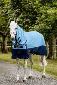 Rugs: Flair Alpine Combo 1200D 200gm