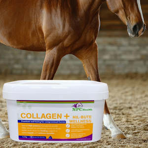 NPC Collagen PLUS