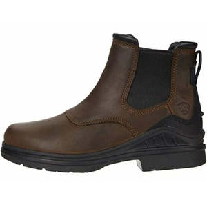 Foorwear: Ariat Women's Barnyard Twin Gore II H20