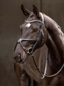 Bridles: LeMieux Arika Grackle Bridle