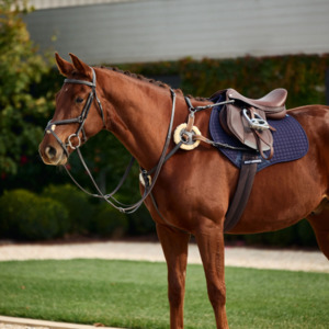 Horse Wear: Dublin 5-Point Event Breastplate