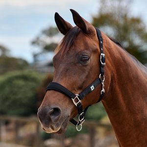 Dublin Neo Comfort Halter