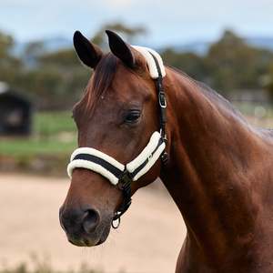 Dublin Soft Fit Headcollar